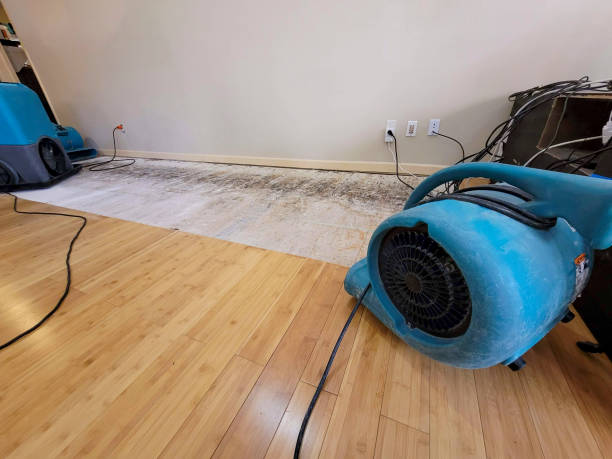 Professional Basement Flood Cleanup technician working in Afton, WY