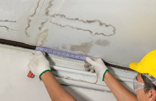 Affordable Basement Flood Cleanup solutions in Afton, WY